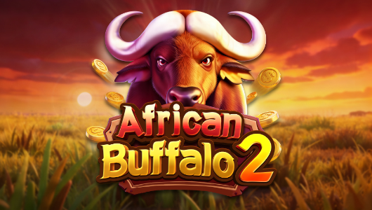 African Buffalo2
